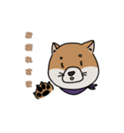 茶柴の日常（個別スタンプ：8）