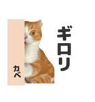 ちぬとつな2（個別スタンプ：7）