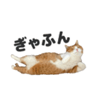 ちぬとつな2（個別スタンプ：8）