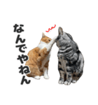 ちぬとつな2（個別スタンプ：19）