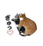 ちぬとつな2（個別スタンプ：22）