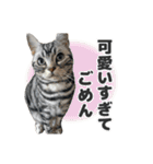 ちぬとつな2（個別スタンプ：24）