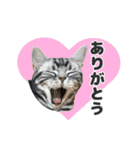 ちぬとつな2（個別スタンプ：30）