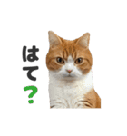 ちぬとつな2（個別スタンプ：32）