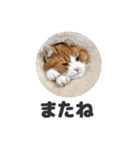 ちぬとつな2（個別スタンプ：33）