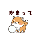 柴犬もふもふ（個別スタンプ：5）