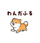 柴犬もふもふ（個別スタンプ：10）