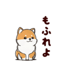 柴犬もふもふ（個別スタンプ：15）