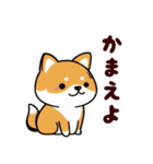 柴犬もふもふ（個別スタンプ：17）