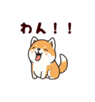 柴犬もふもふ（個別スタンプ：19）