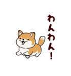 柴犬もふもふ（個別スタンプ：20）