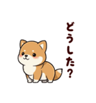 柴犬もふもふ（個別スタンプ：22）