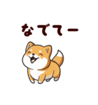 柴犬もふもふ（個別スタンプ：25）