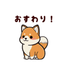 柴犬もふもふ（個別スタンプ：27）