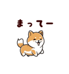 柴犬もふもふ（個別スタンプ：29）