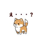 柴犬もふもふ（個別スタンプ：30）