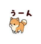 柴犬もふもふ（個別スタンプ：32）