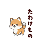 柴犬もふもふ（個別スタンプ：37）