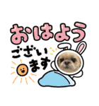 シーズーのこはなちゃん！3（個別スタンプ：8）
