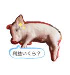 豚足スタンプ（個別スタンプ：1）