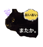 黒猫 ルナ院長57にゃんめ（個別スタンプ：7）