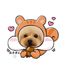 アロナツさん（個別スタンプ：1）