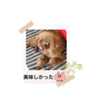 アロナツさん（個別スタンプ：6）