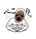 アロナツさん（個別スタンプ：9）