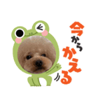 アロナツさん（個別スタンプ：12）