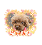 アロナツさん（個別スタンプ：13）