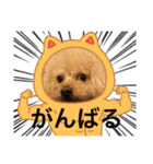 アロナツさん（個別スタンプ：14）