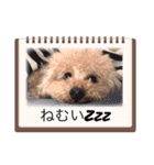 アロナツさん（個別スタンプ：16）