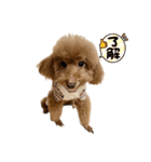 我が家の大臣4（個別スタンプ：7）