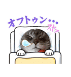 鍵しっぽ☆ひかりちゃん（個別スタンプ：3）