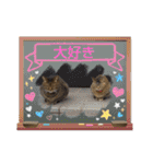 癒し系かわいい動物さんスタンプ❤️（個別スタンプ：1）