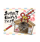 癒し系かわいい動物さんスタンプ❤️（個別スタンプ：39）