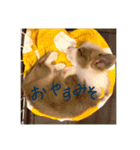 みそスタvol.1（個別スタンプ：2）