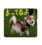 みそスタvol.1（個別スタンプ：6）