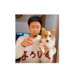 みそスタvol.1（個別スタンプ：8）