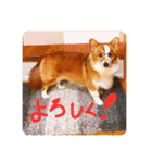 みそスタvol.1（個別スタンプ：9）
