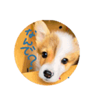 みそスタvol.1（個別スタンプ：11）