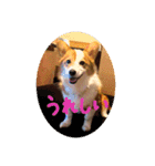 みそスタvol.1（個別スタンプ：13）