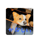 みそスタvol.1（個別スタンプ：14）