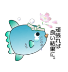 nobobi ビジネス的なマンボウ（個別スタンプ：21）