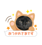 愛猫スタンプ03（個別スタンプ：6）