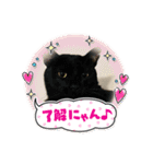 愛猫スタンプ03（個別スタンプ：11）