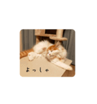 きぬ #1（個別スタンプ：5）