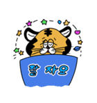 POP TIGER 韓国語（個別スタンプ：2）