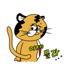 POP TIGER 韓国語（個別スタンプ：13）