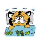 POP TIGER 韓国語（個別スタンプ：20）